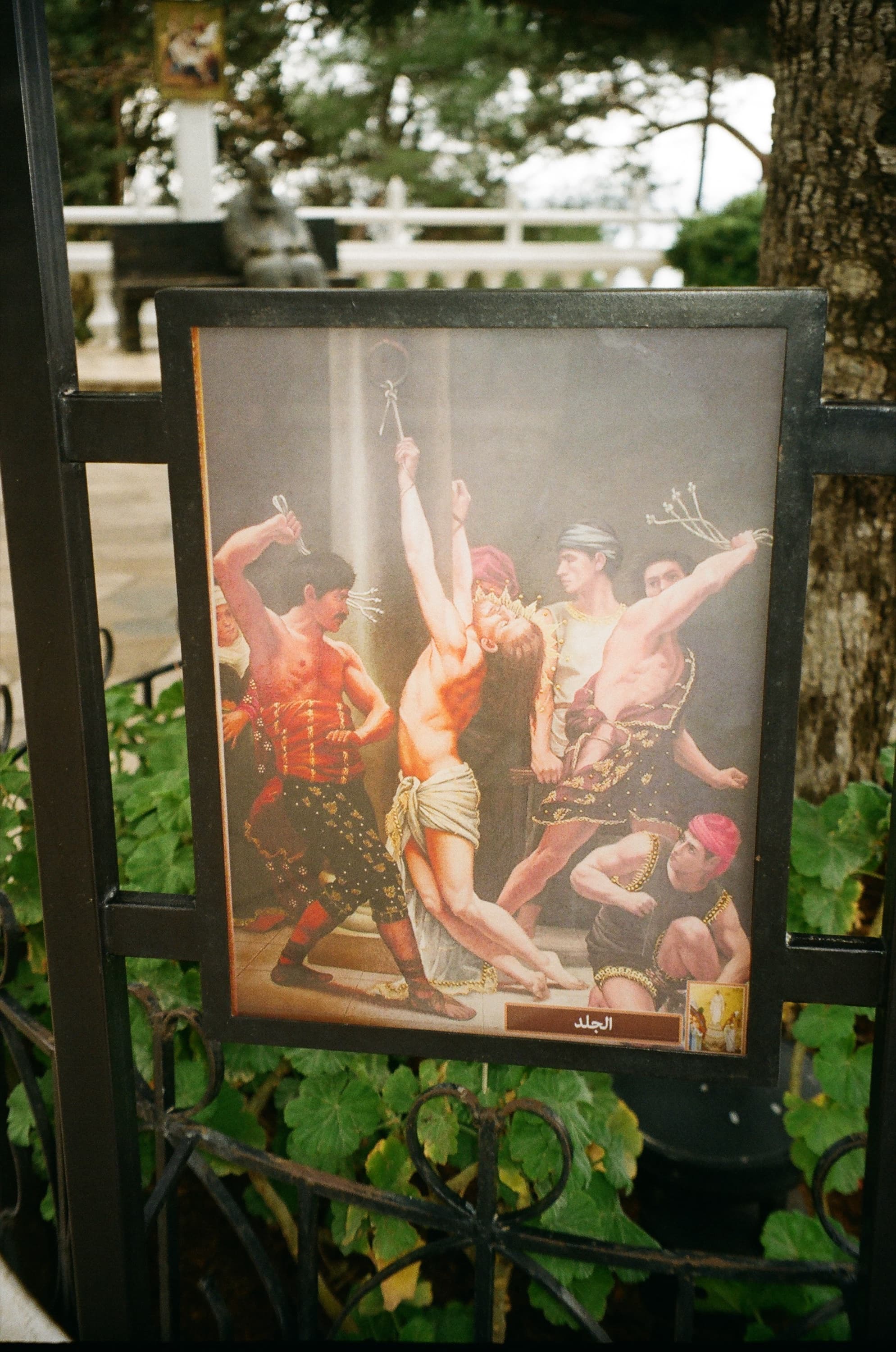 Documentary photograph: Keserwan, Lebanon, February 2026. Keserwan, Lebanon. Archival pigment print by Thalia Bassim.