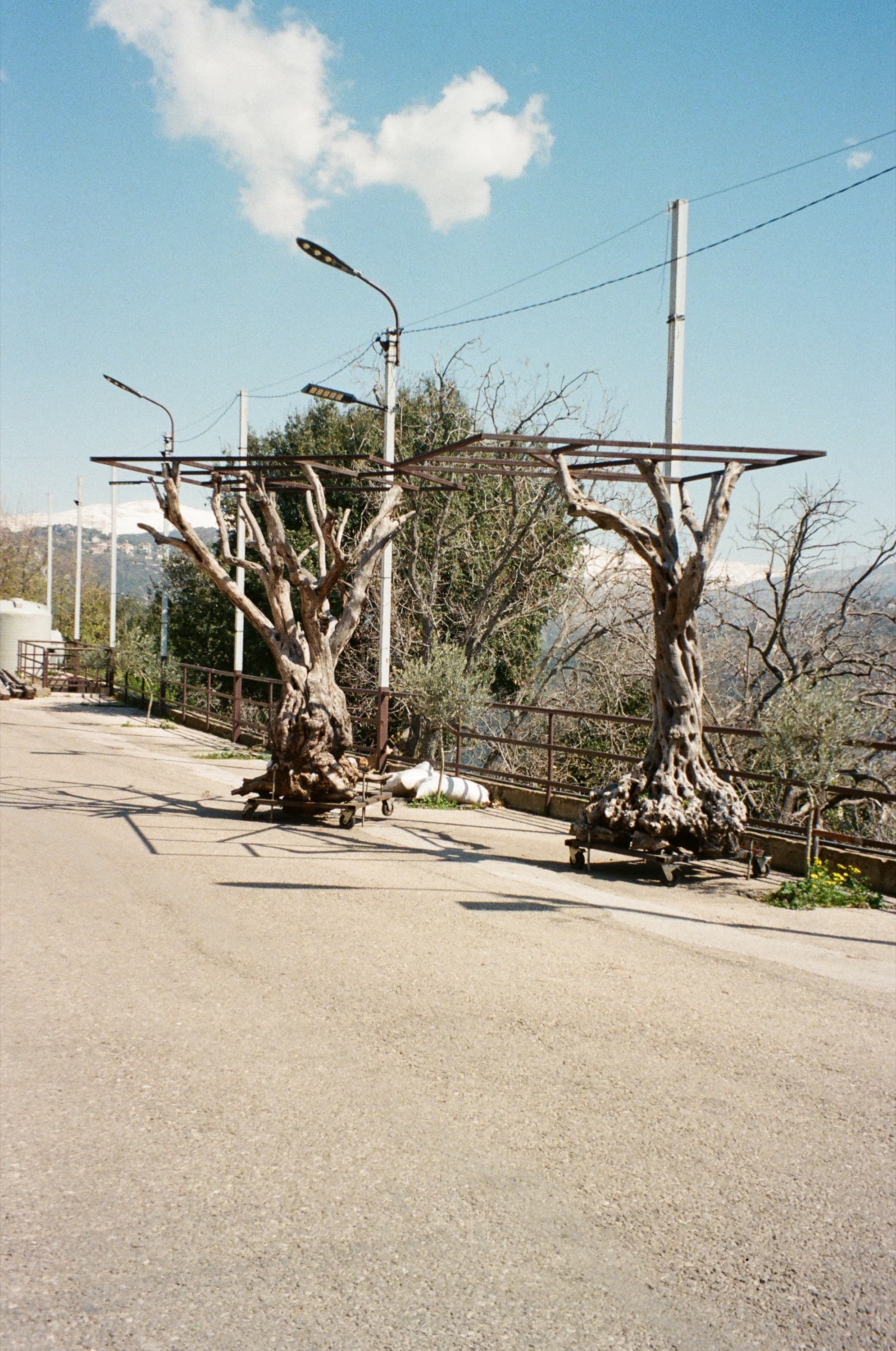 Documentary photograph: Mount Lebanon (2), March 2026. Mount Lebanon, Lebanon. Archival pigment print by Thalia Bassim.