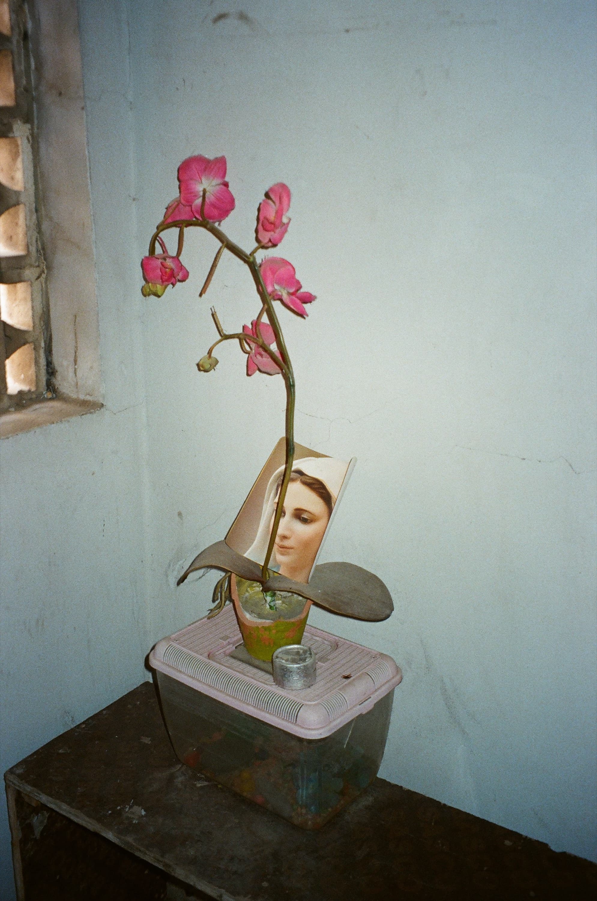 Documentary photograph: Mount Lebanon, March 2026. Mount Lebanon, Lebanon. Archival pigment print by Thalia Bassim.