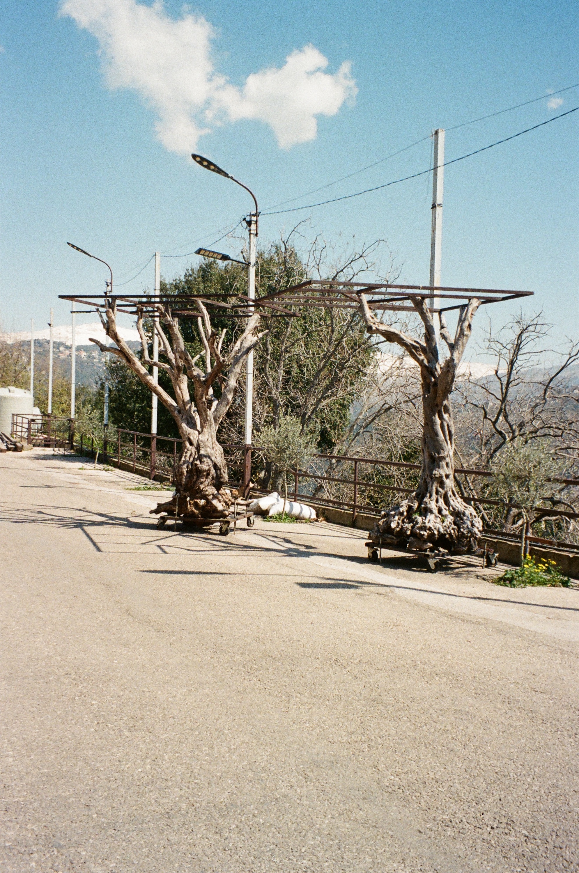 Documentary photograph: Mount Lebanon (2), March 2026. Mount Lebanon, Lebanon. Archival pigment print by Thalia Bassim.