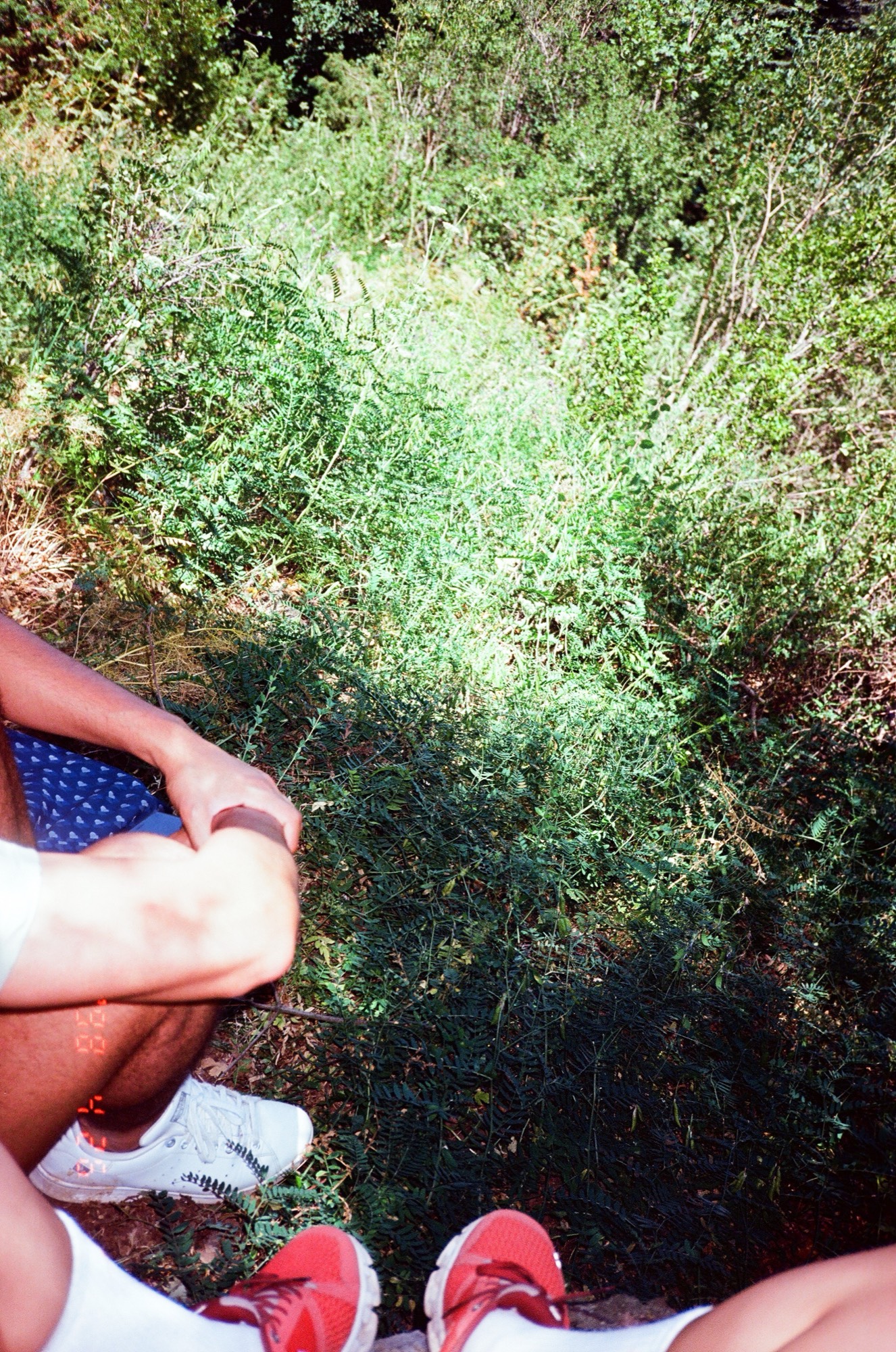 Documentary photograph: North Lebanon, July 2022. North Lebanon, Lebanon. Archival pigment print by Thalia Bassim.