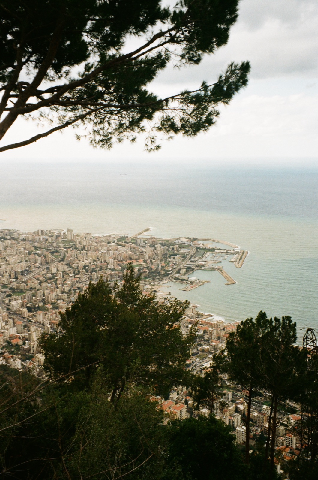 Film frame 17 from roll 6604