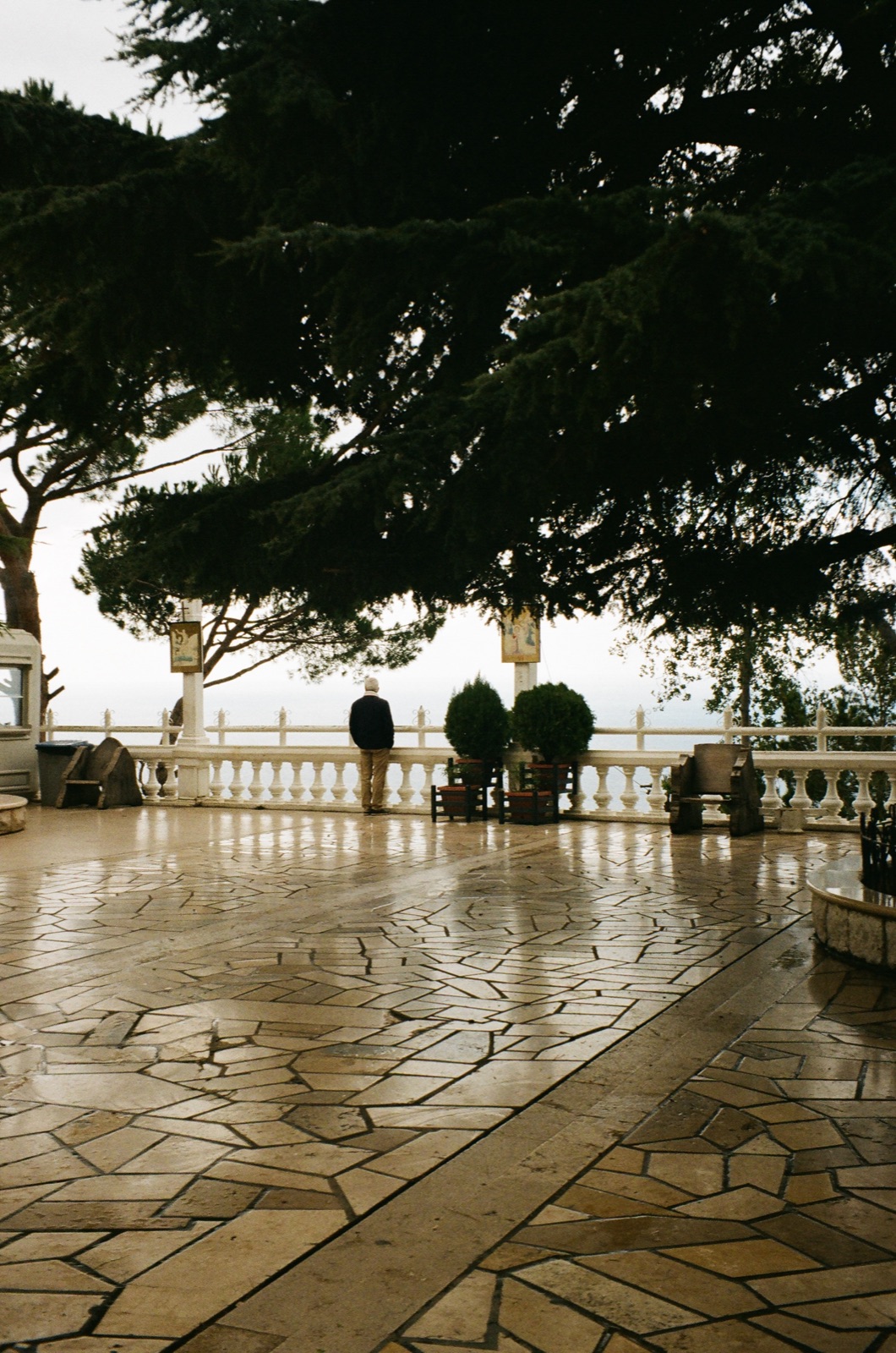 Film frame 19 from roll 6604